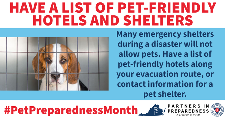 pet_preparedness_pet_shelter
